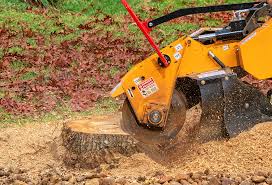 Best Tree and Shrub Care  in East Marion, NY